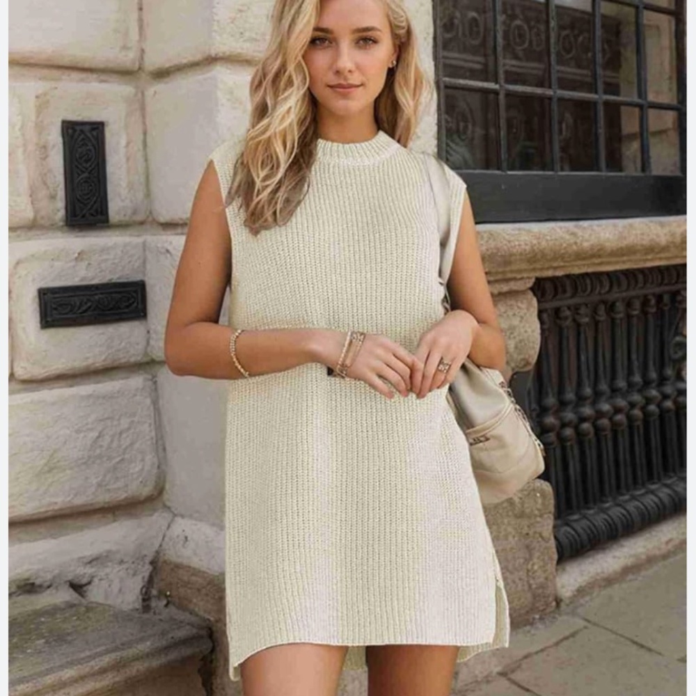 Mable Sleeveless Knit Mini Dress size Large (NWOT)